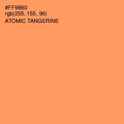 #FF9B60 - Atomic Tangerine Color Image